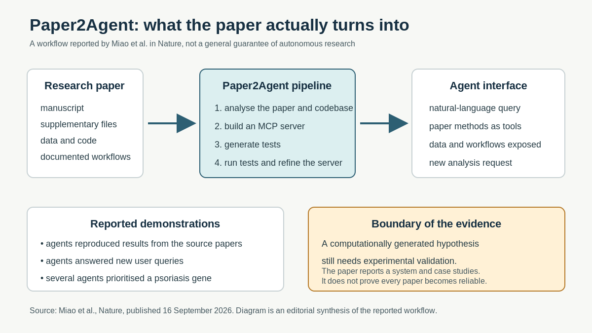 Infographic showing Paper2Agent's reported workflow: a research paper and its code, data and workflows are analysed; an MCP server is built and tested; an agent then exposes the paper's methods as tools for natural-language queries. A lower panel lists the reported demonstrations and states that computational hypotheses still need experimental validation.